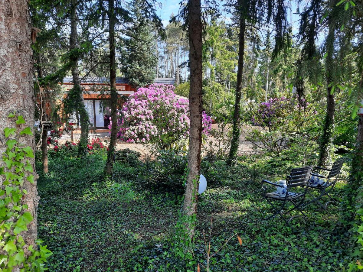 Ferienhaus Leon Mit Sauna Rehburg-Loccum Exteriér fotografie