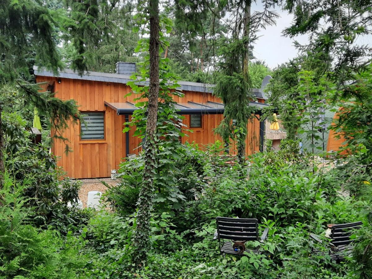Ferienhaus Leon Mit Sauna Rehburg-Loccum Exteriér fotografie